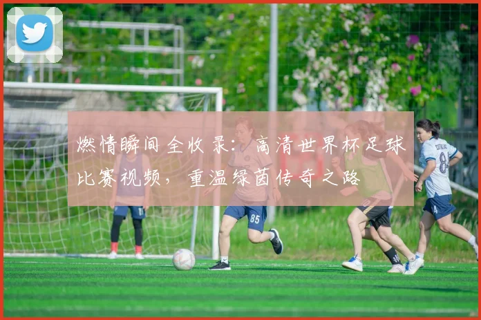 燃情瞬间全收录：高清世界杯足球比赛视频，重温绿茵传奇之路